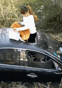 萌控孩|女朋友和她的闺蜜喝多了直接躺地上,我到底该怎么办呢?哇哈哈