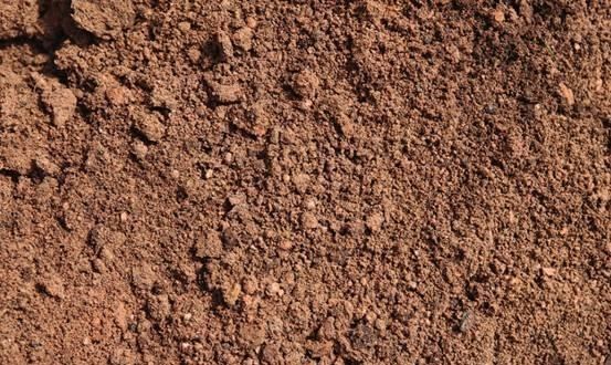 梓琪育儿说|太可怕!台东一小学操场出现大量蚯蚓,然而师生见怪不怪