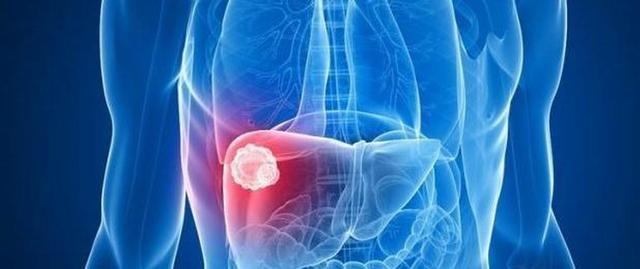 肝脏|提醒:肝怕“3甜”,养肝尽量远离,“2苦”养肝,可适当多吃