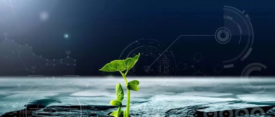 月壤 月壤也能种庄稼！嫦五带回的月壤能种小麦，开发月球不怕没粮食了