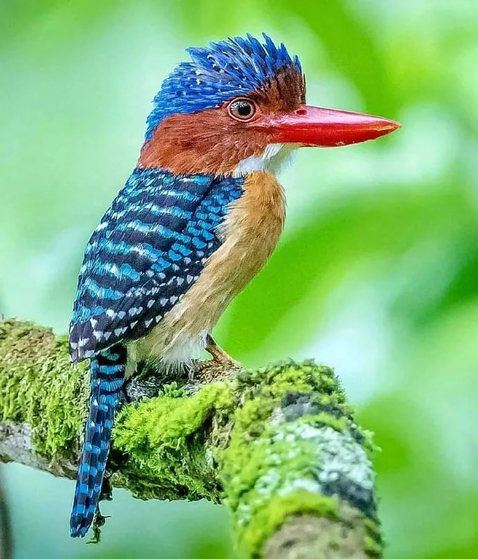洞洞鞋|夏天穿洞洞鞋的烦恼