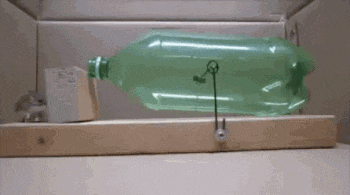 发型|“为什么发传单的人,不敢偷偷把传单丢到垃圾桶?”哈哈哈