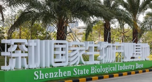 梵恩诗伊宁哥|用电量全国第一，GDP却低了广东一个“河北”，钱花了经济不涨？