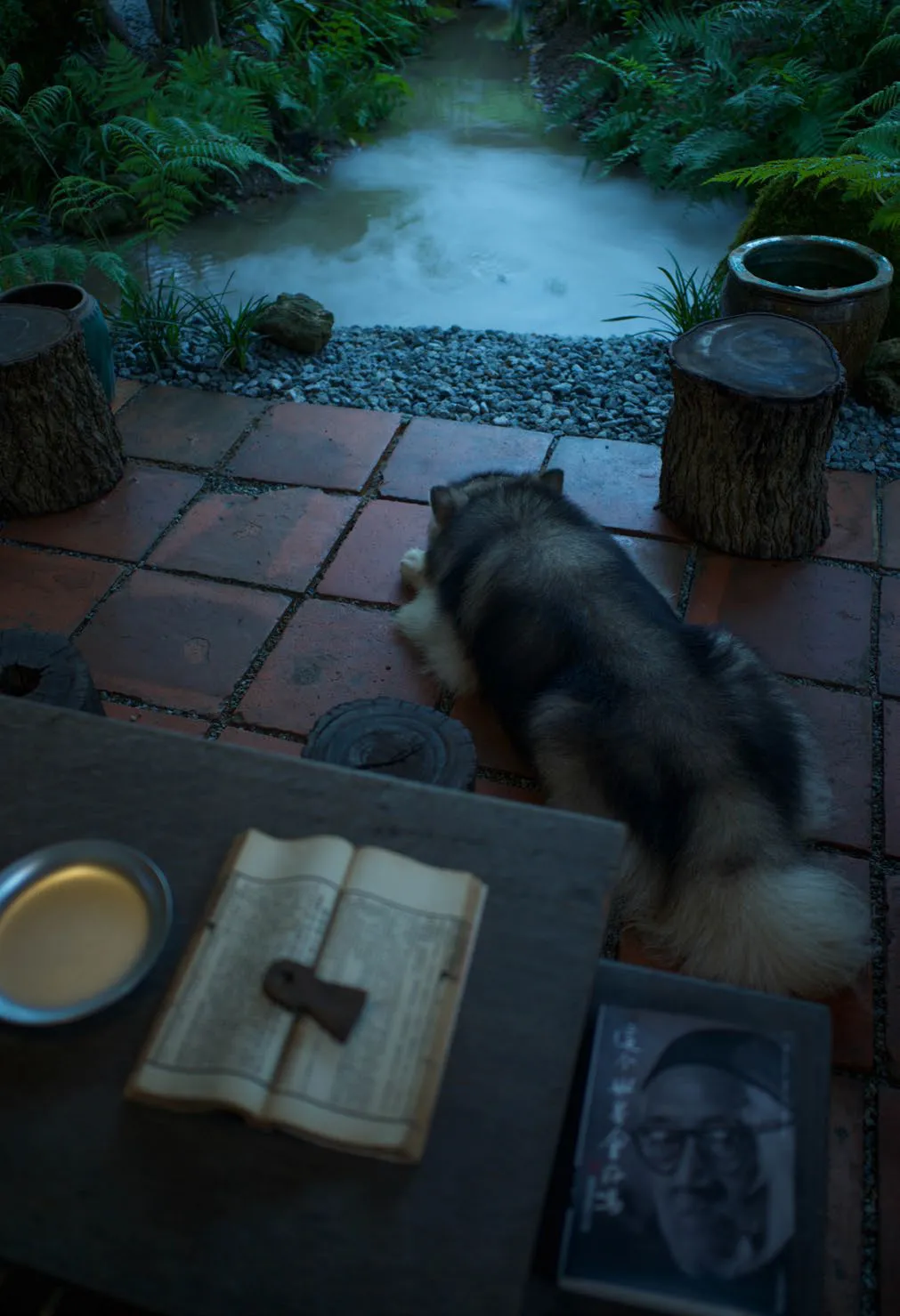 这才是中国人该住的院子,惊艳了世界!