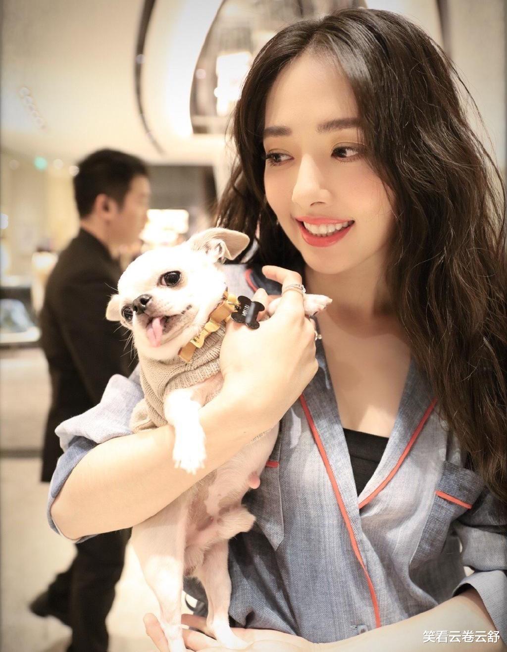 冯绍峰|冯绍峰才是美女收割机，历任女友全是娱乐圈的顶级美女，眼光绝了