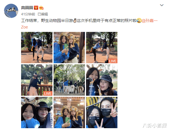 高圆圆|41岁高圆圆与闺蜜同游动物园，穿毛绒尾巴扮小豹子顽皮可爱
