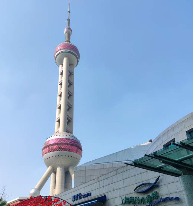 二姐情感客栈 上海海洋水族馆好玩不？挺好玩，也挺开眼