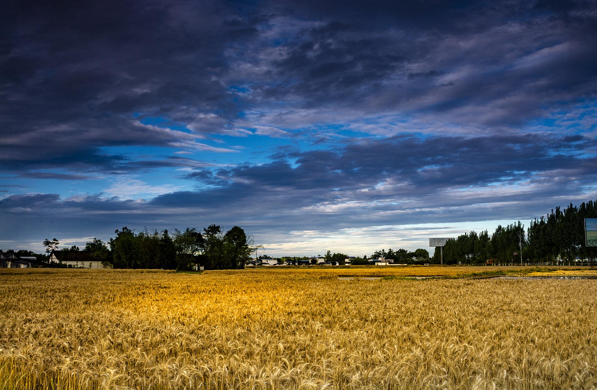 小龙虾2022 中科院一博士论文走红，出身贫微并不是坏事，先苦后甜才是人生