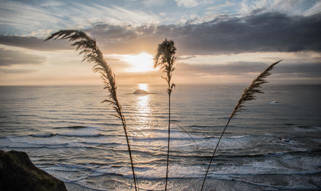 景星馆说|不管有钱没钱,活得都很潇洒的三个星座,随心所欲,永远不羁