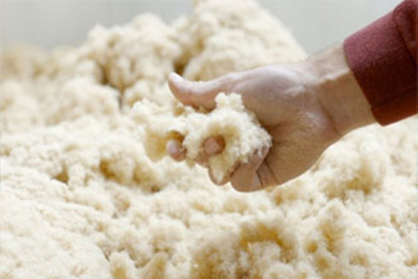 等离子体 科学家用可再生轻质材料制成站立式桨板