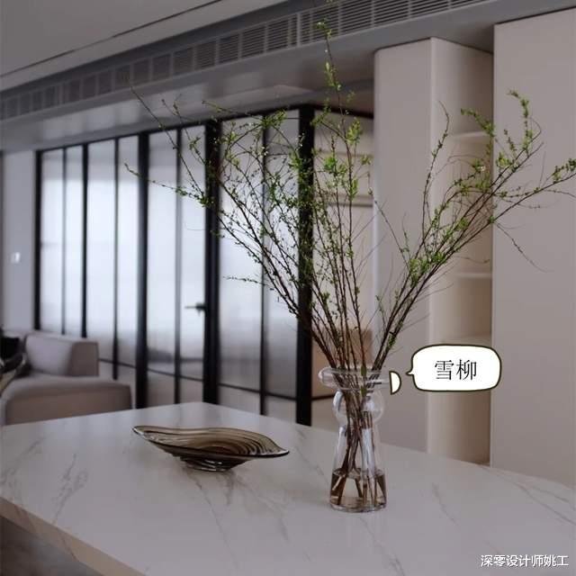 |桌上不摆花，放这9种遇水即活的绿植，装点了室内，养护也更省心