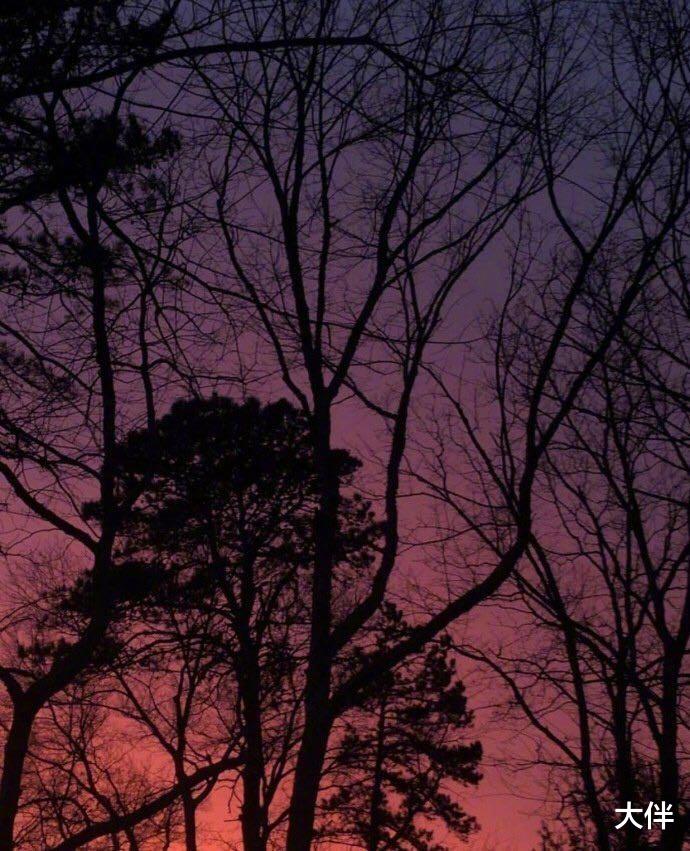 星座女|赏罚分明的三大星座女，职场当中很公平公正