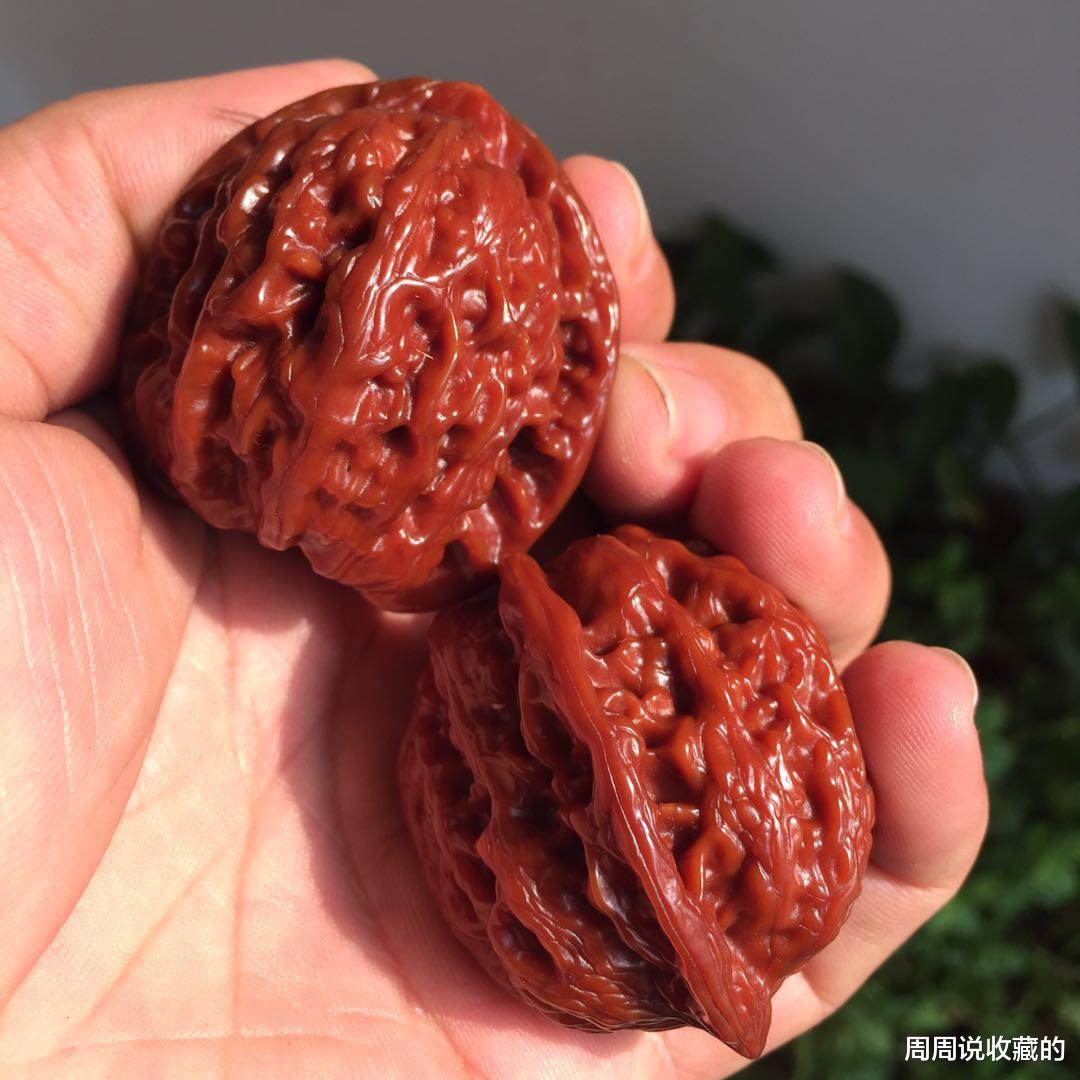 文玩核桃|文玩核桃小众品种真的都那么贵吗？实际上是这么一回事