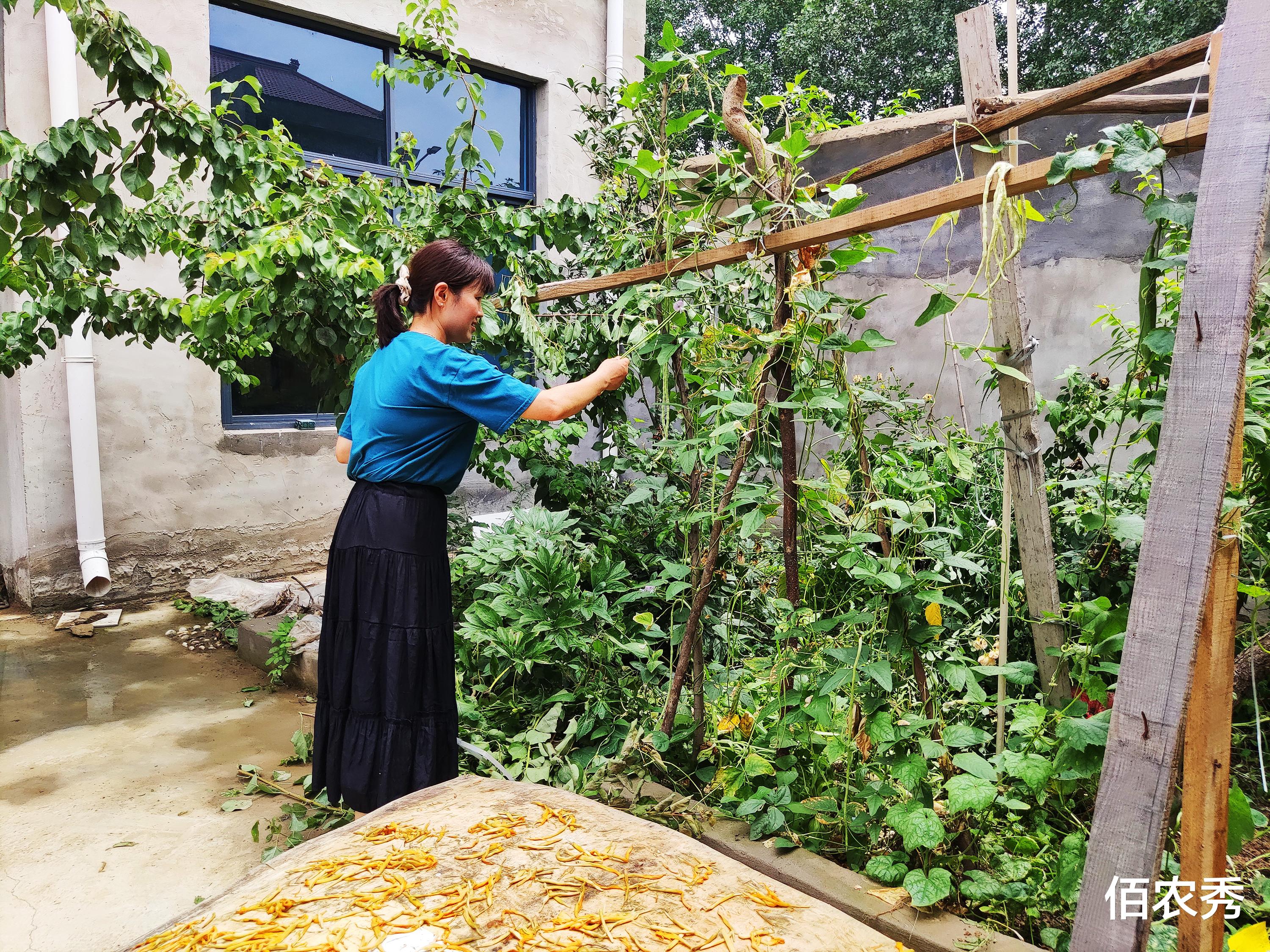 |回农村老家建房的你，花几十万元建成新房成空房，现在后悔了吗