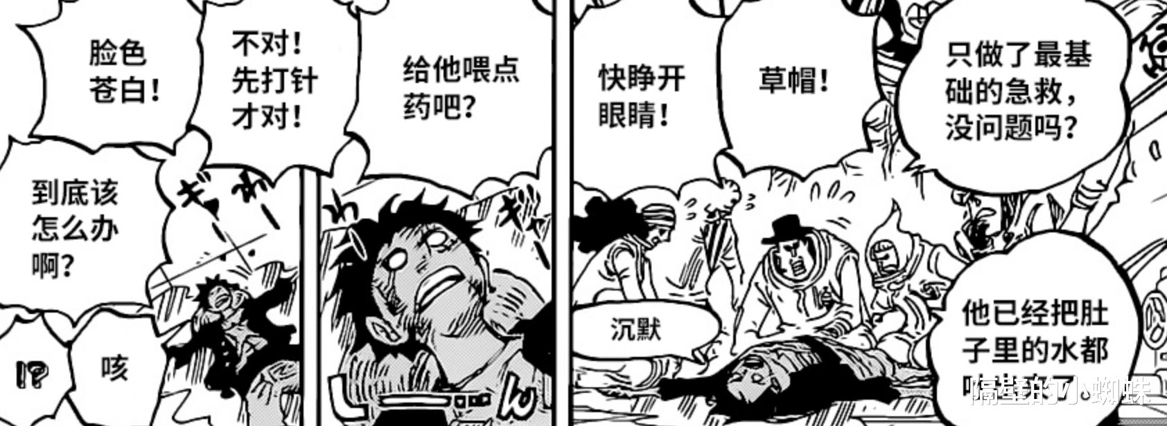|海贼王1019话：轮到路飞和索隆被尾田恶搞，山治终于扳回一局