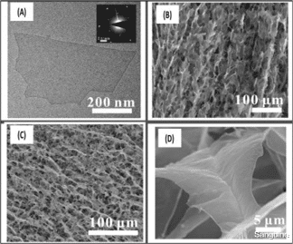 生物学 用于锂基电池的二维金属碳化物/氮化物（MXene）纳米复合材料的最新进展（二）