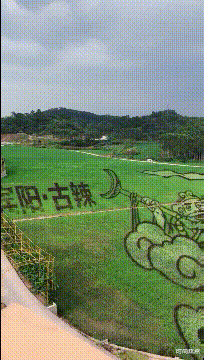 时尚炫点 “现在相信外卖工资12000了！”但我觉得开2万都不过分吧？