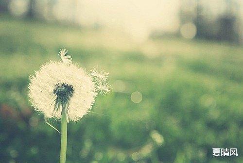 夏晴风 这一生，不亏欠别人，也不愧对自己