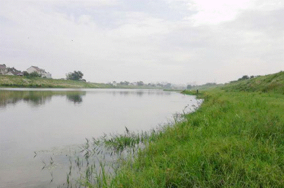 |冬钓鱼口差，千万别着急封竿，学会这几招助你“鱼果累累”