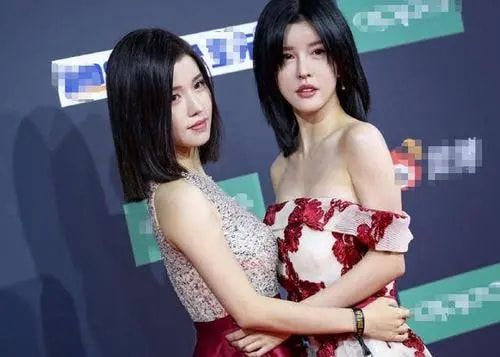 孙雨|“塑料姐妹”By2：姐姐被迫要整容，妹妹花边不断还差点嫁豪门