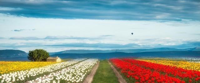 轻语妈妈|婚后20天,婆婆让她伺候小姑子坐月子:不干,除非给我8000元