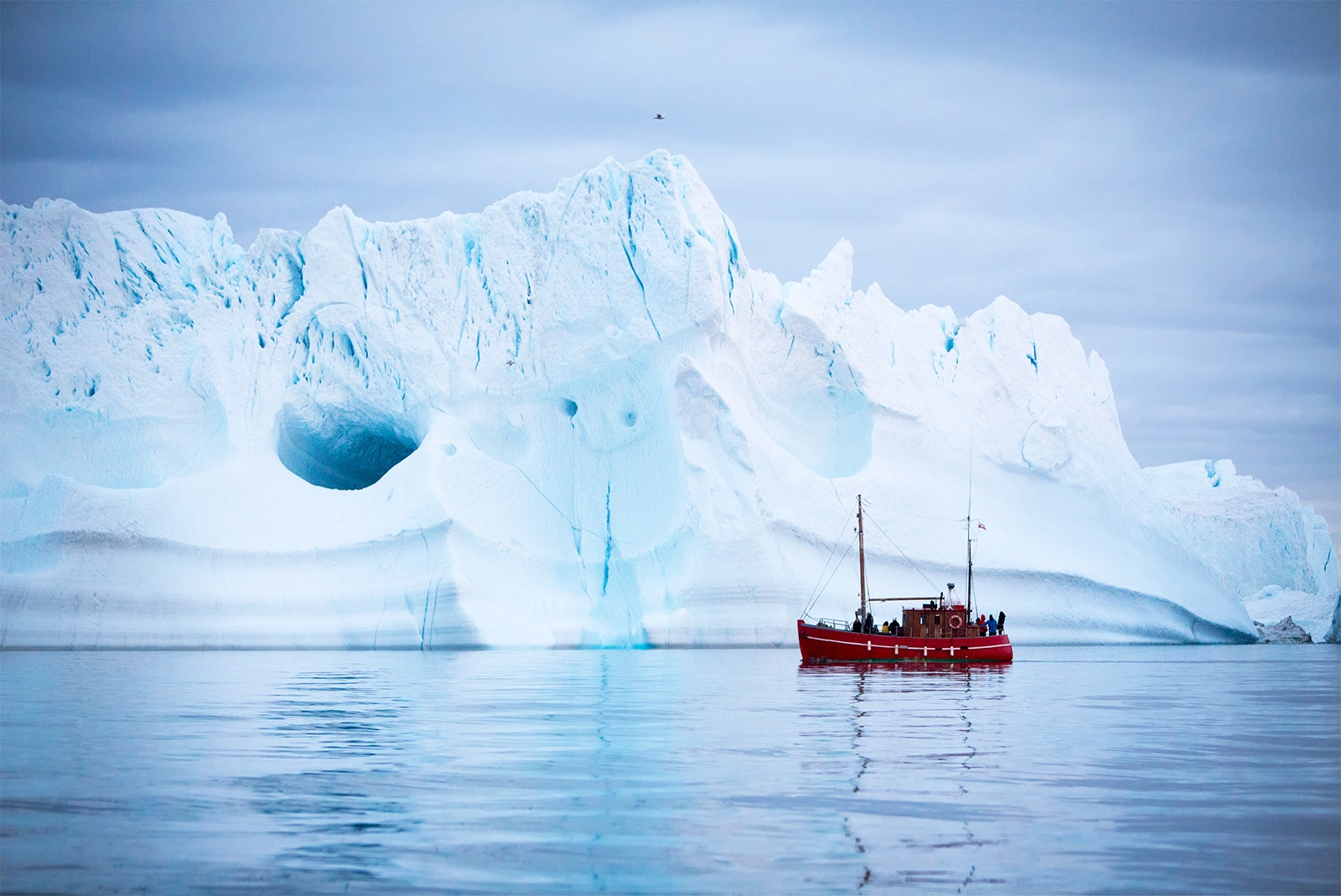 隐藏在人类禁区南极的秘密：日本捕鲸船目击到的人形生物宁根