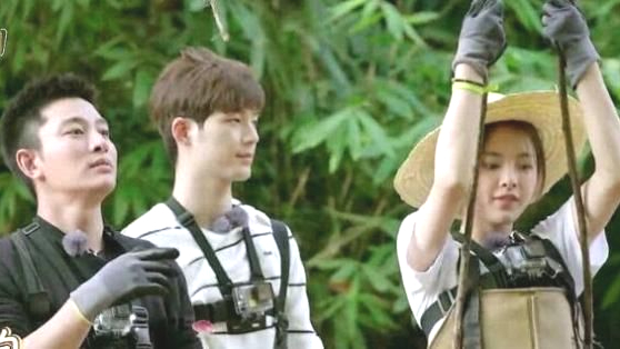 王源|笑哭！莴苣吃叶子还是吃根？王源和杨超越一起参加节目，为此争论不休