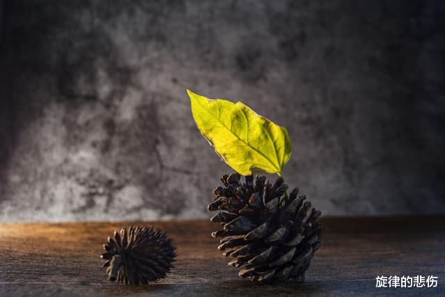 旋律的悲伤|三位60和70后真实讲述:人到中老年却毫无积蓄,究竟是怎么想的?