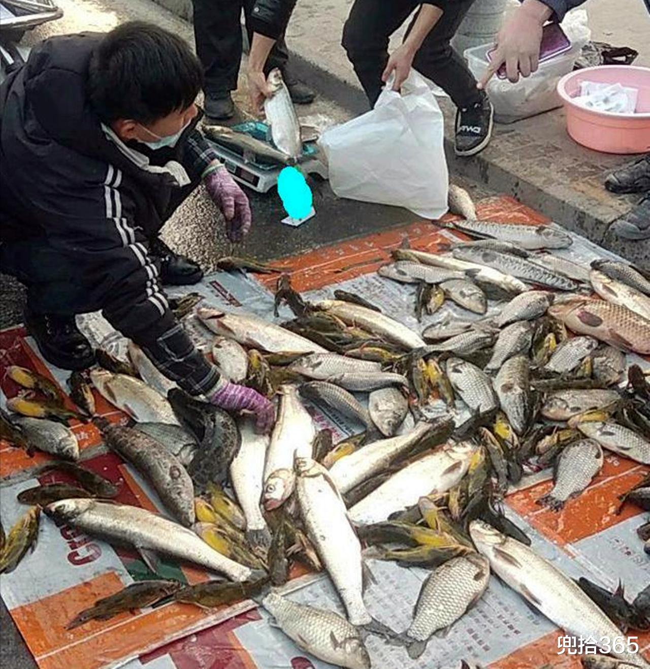 广东省|广东俩男子野钓爆护,直接在马路边摆摊叫卖,引来众人纷纷围观