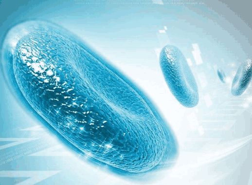 爱因斯坦 中科西部干细胞研究院：干细胞注射、干细胞面膜靠谱吗？