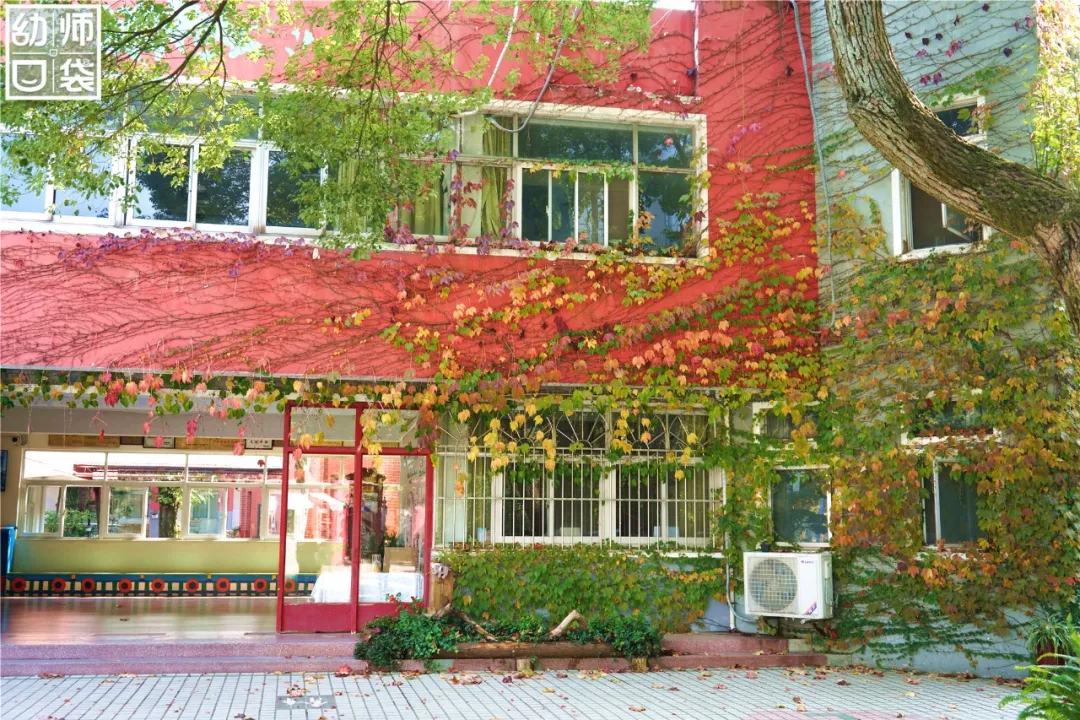 武老师的育儿科创空间|【托育】看看泰国托育机构吗？很清新、很自然的那种