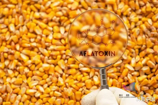 前列腺炎|家里竟暗藏着这些癌物?很多人却还不知道