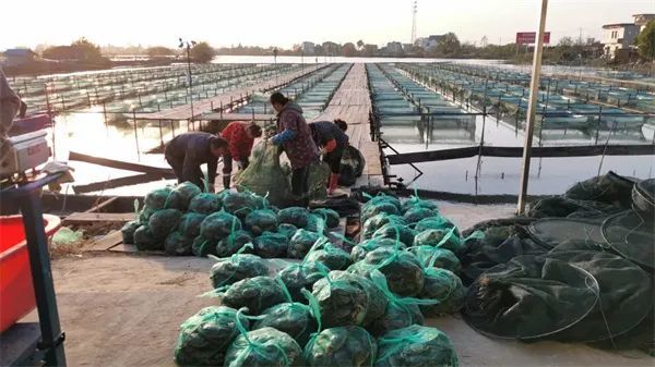 星语星愿吖 败局已定!旺季口碑坍塌,亏本还卖不动,吃货四处踩坑,货太次了