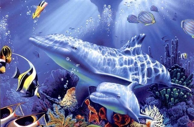 章鱼 章鱼智商到底有多高，为何有人科学家认为它不是地球生物？