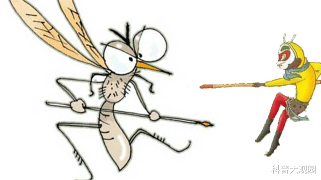 书法|不是所有的蚊子都吸血?吸血的一般是交配后需要孕育卵子的雌蚊!