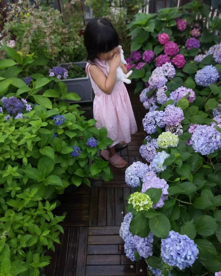 3年前，买了一栋顶楼带70㎡露台的房子，自己打造美美的休闲花园