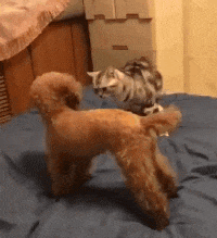 |“你们见过这样的猛男水杯吗？一定是全办公室最亮眼的了”