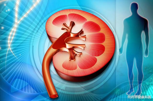 何药师健康科普|糖尿病肾病，前列地尔联合贝那普利，有效减少尿蛋白，改善肾功能