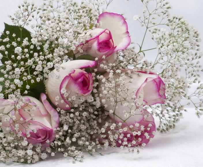 处女座|2月下旬，开门遇喜事，霉运全部消散，成功实现梦想的3个星座