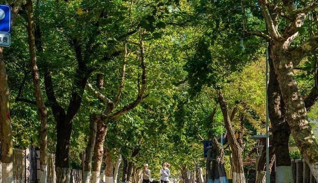 童书小窝|建国70多年，山东取得了多大的发展成就？经济总量增长了1670倍