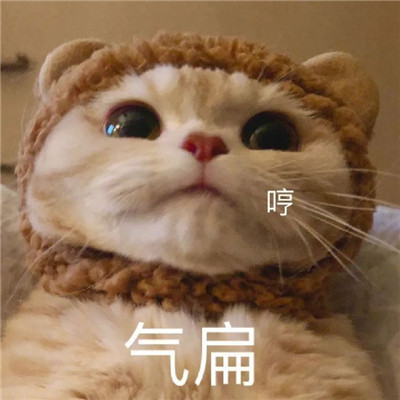 桉月|表情包：委屈难过的表情