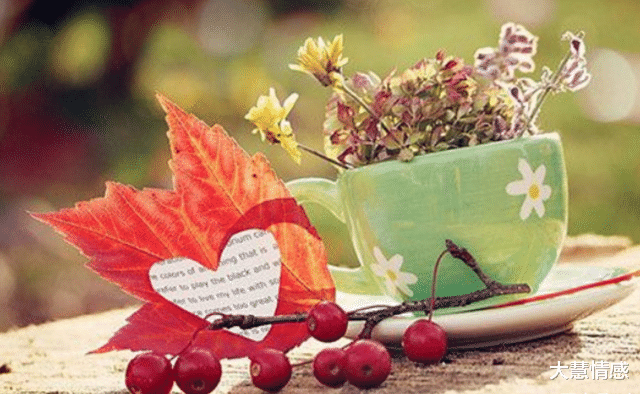 大慧情感|女人的“双标”,会让男人更爱你