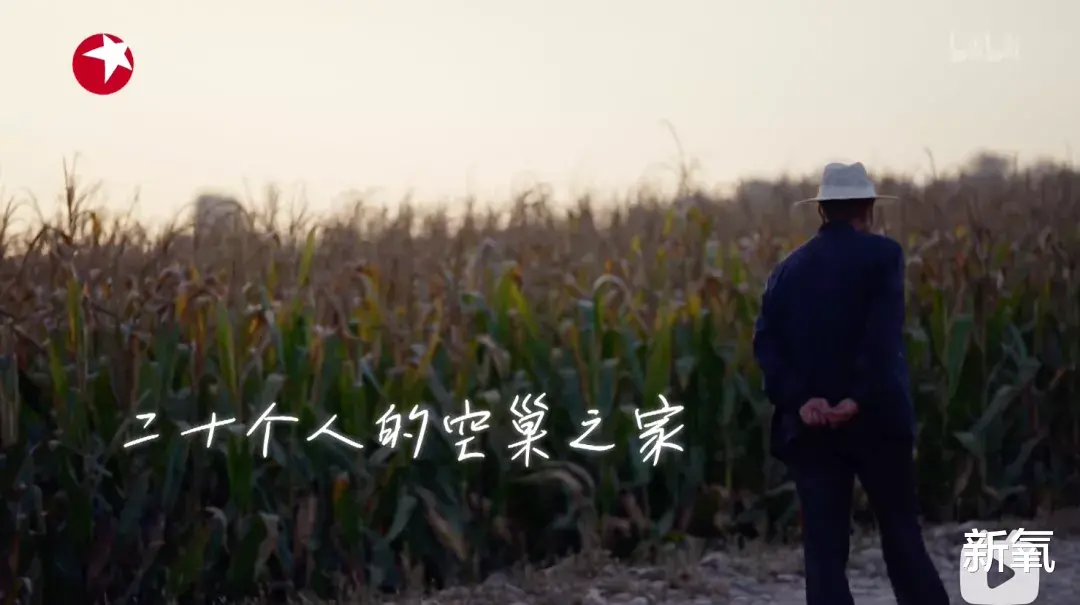 他跌落神坛，真的一点也不冤