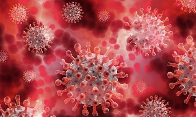 冠状病毒 最新发现！冠状病毒约在3亿年前就已诞生，二人类祖先也曾被感染