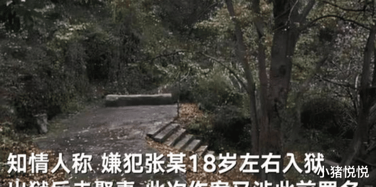20岁晨跑被害女孩曾在公园呼救!可以说她错过了三次活命机会