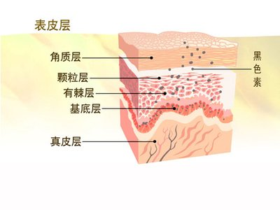碗盆妈咪|孕期不能用护肤品?宝妈:这种伪科学还在信?真当护肤品能致畸?