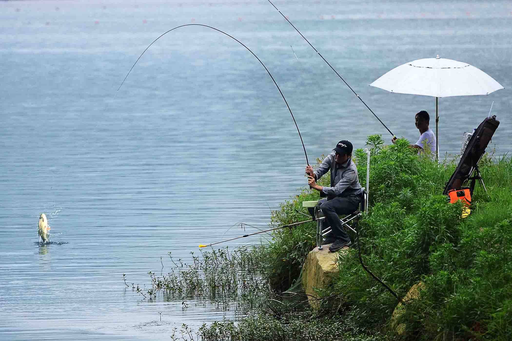 丰硕|钓鱼新手有时比老钓手渔获还丰硕，真正的原因找到，太透彻了