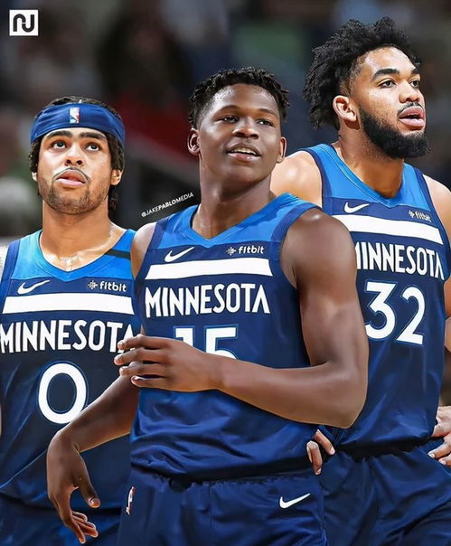 森林狼队|再见了！森林狼&山猫队