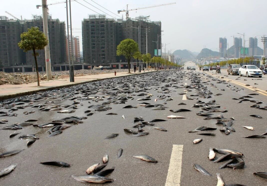 神工 4种罕见的现象，壮观而奇特，大自然鬼斧神工