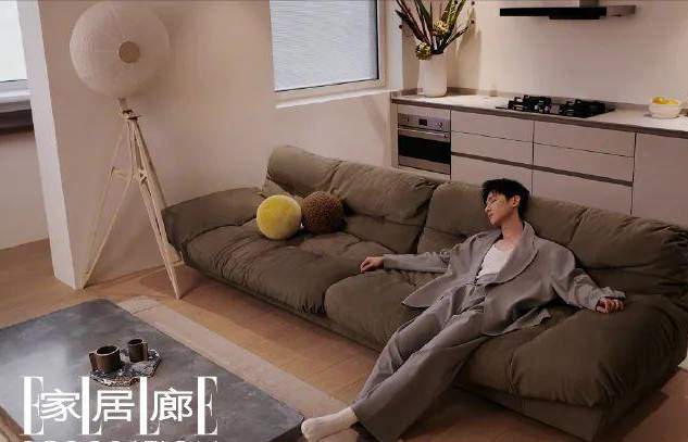 |白敬亭上亿私宅曝光！椅子4万一把，百万设计费